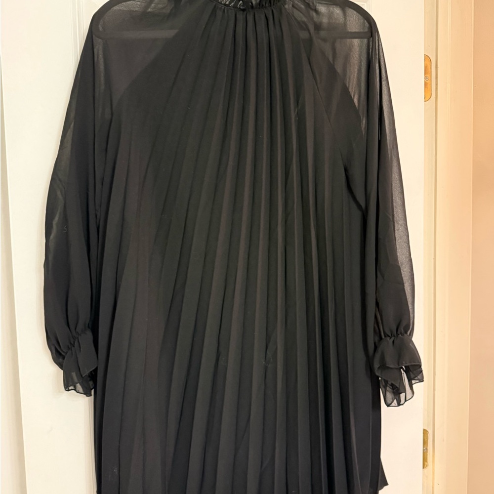 Zara mid length dress; sheer sleeves